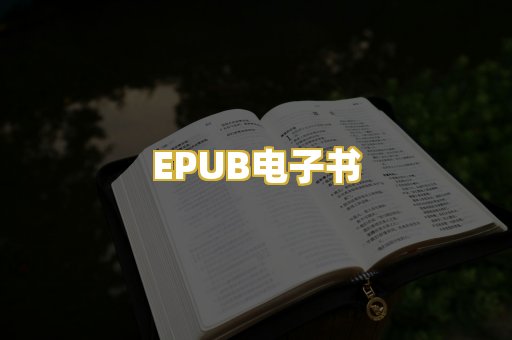 EPUB电子书